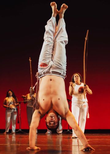 PROFESSOR SOLDADINHO